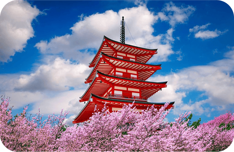 Japanese pagoda with cherry blossoms