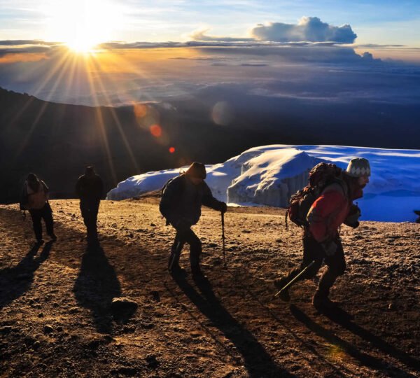 group-of-hikers-arriving-at-the-kili-summit-132