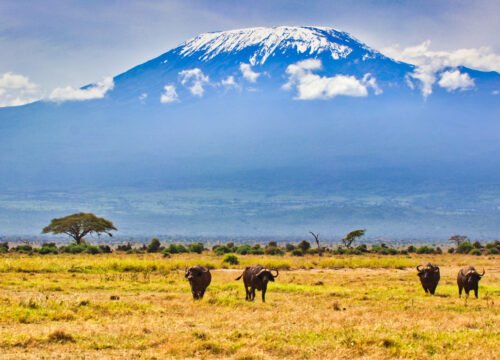 Kilimanjaro 12 Weeks Training Plan