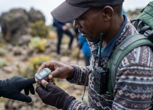 Kilimanjaro best operator